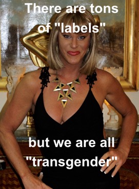 transgender-defined-2