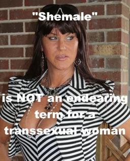 Shemale Sex Files - Shemale Sex | ReneeReyes.com